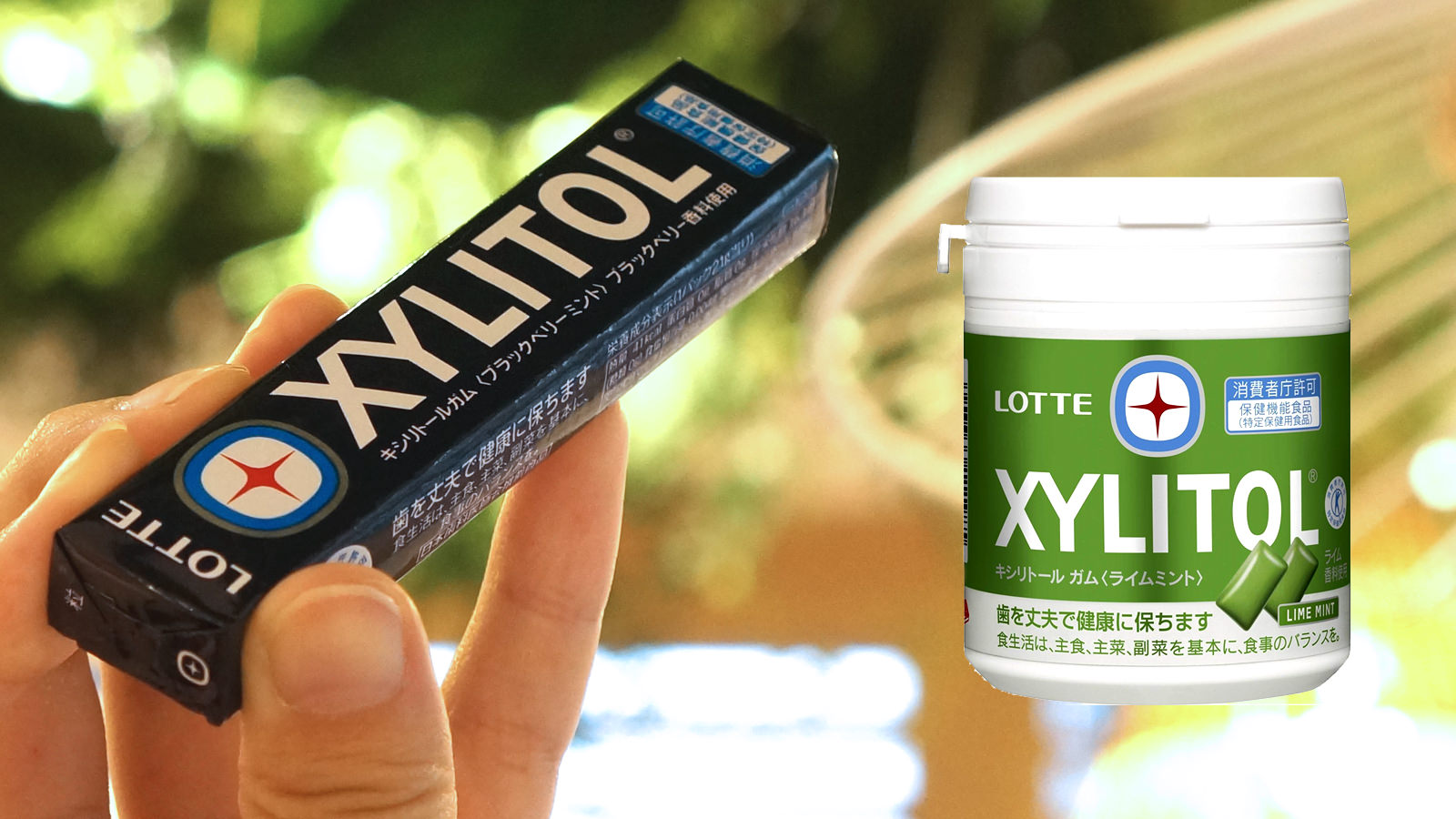 LOTTE　XYLITOL