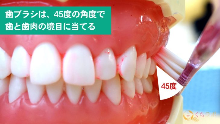 正しい歯磨きの方法と全て!よくある7つの疑問を徹底解説