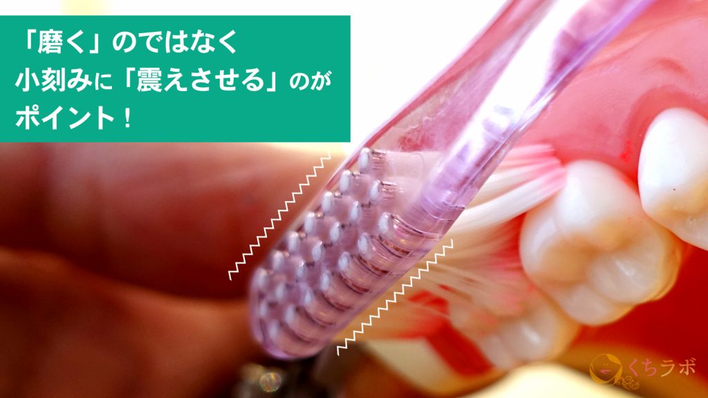 正しい歯磨きの方法と全て!よくある7つの疑問を徹底解説