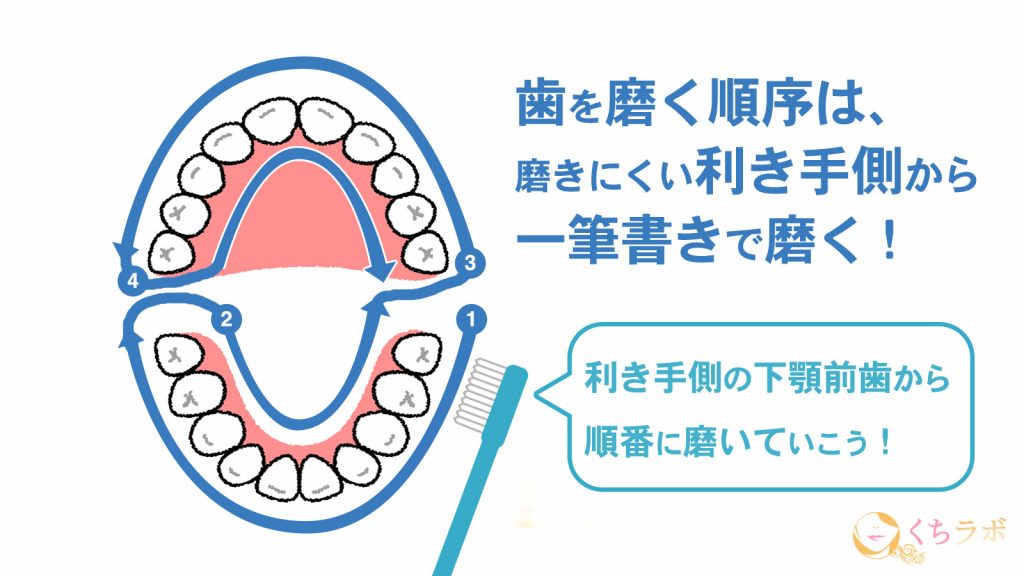正しい歯磨きの方法と全て!よくある7つの疑問を徹底解説
