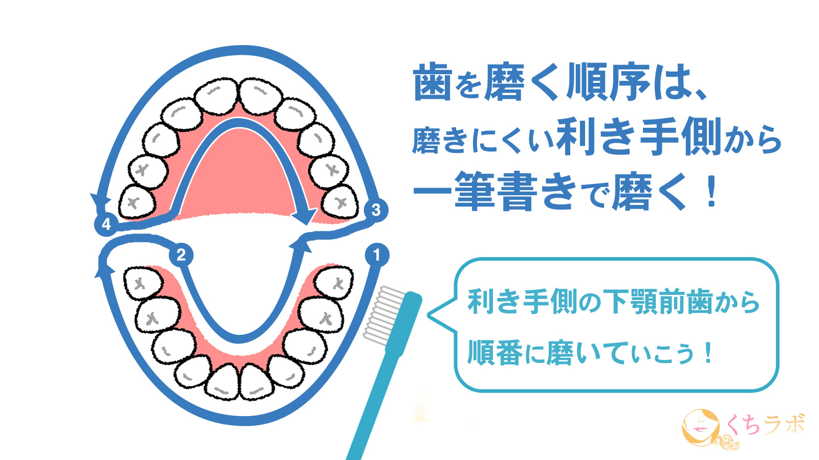 正しい歯磨きの方法と全て よくある7つの疑問を徹底解説