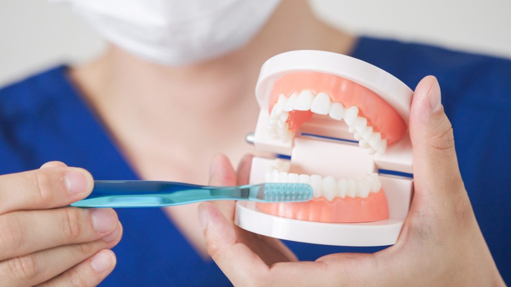 歯を磨く歯科衛生士の写真