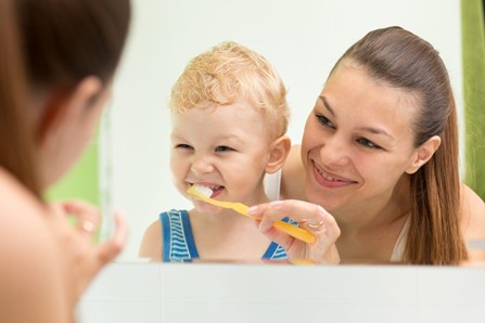 歯を磨いている親子の写真